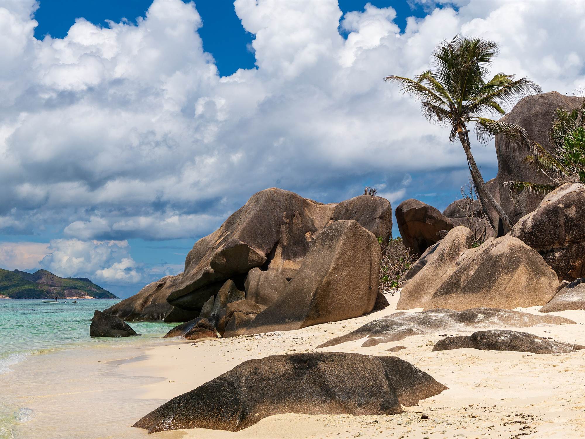 Granite boulders and a palm on Anse Source d'Argent beach, La Digue, Seychelles
