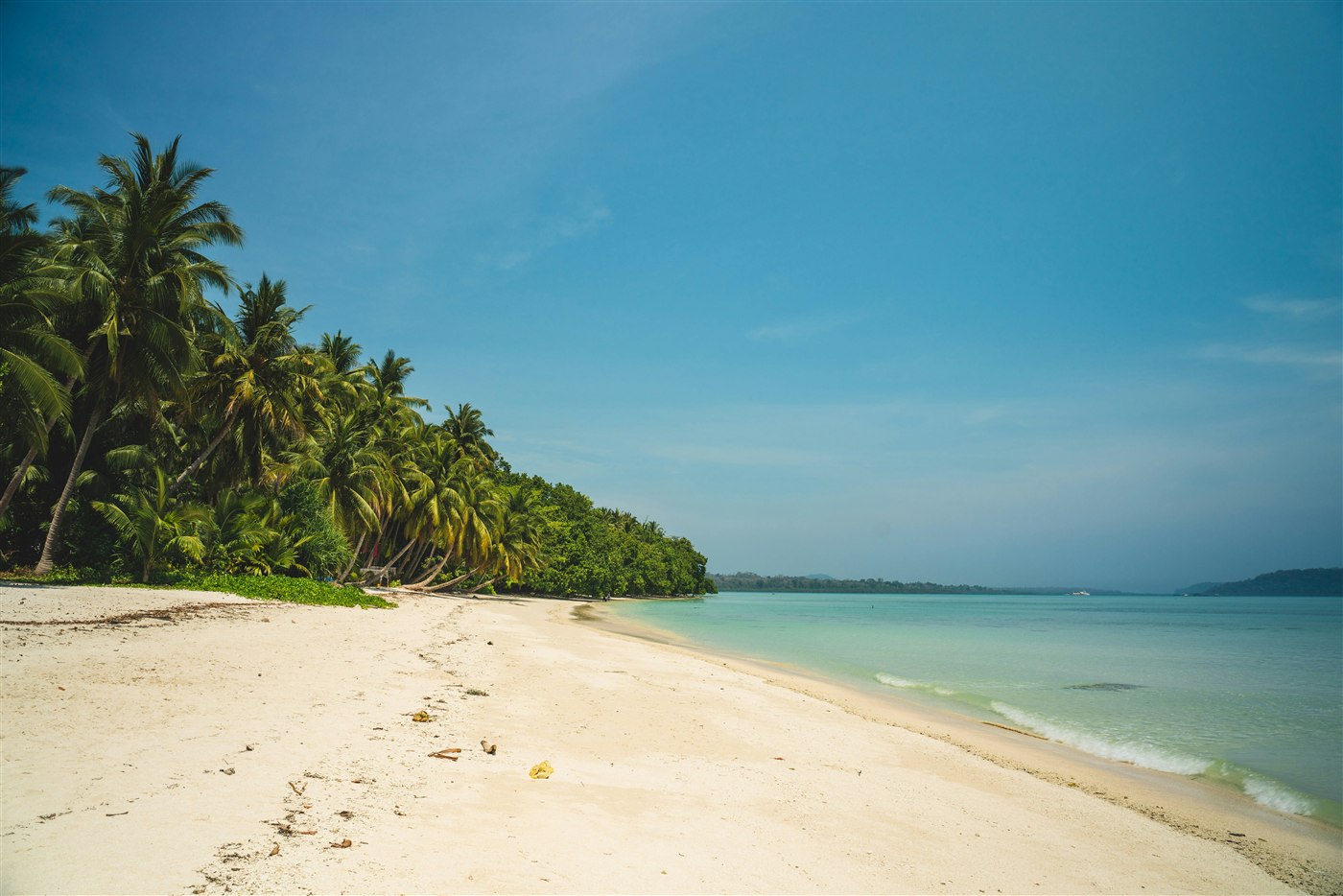 A palm-lined white sand beach and turquoise sea at Havelock Island, Andaman