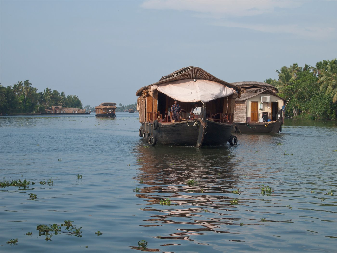Traditional houseboats gliding through the Kerala backwaters