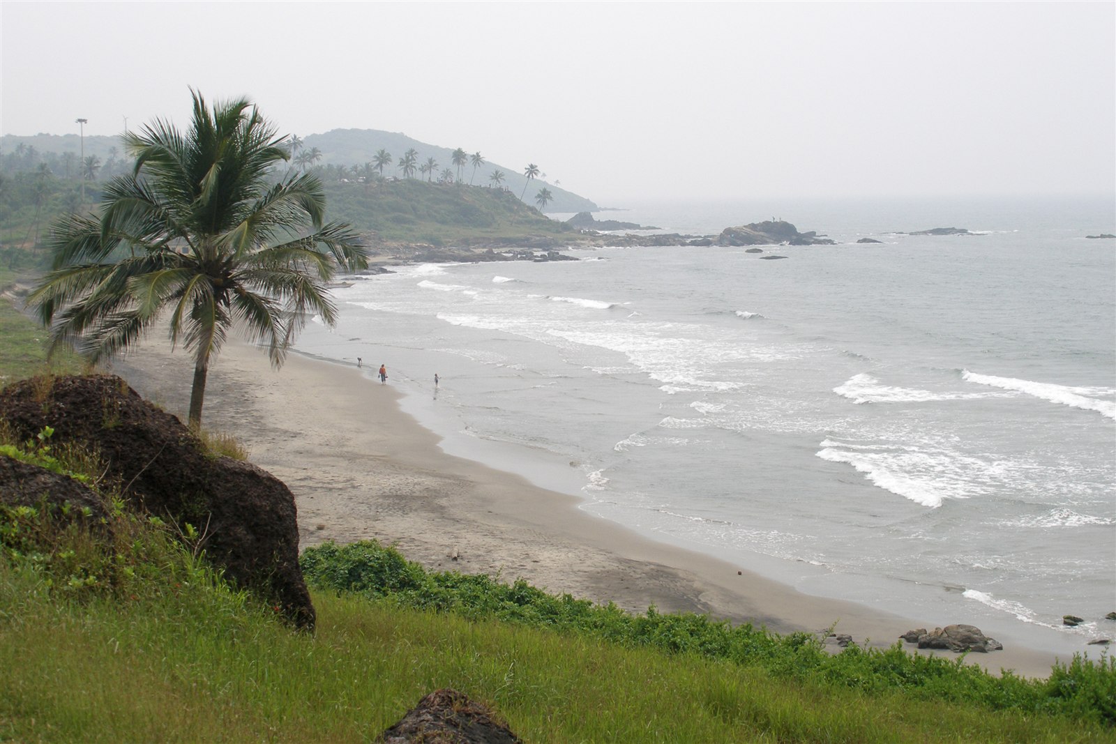 Coconut palms above a sandy bay at Vagator Beach, Goa