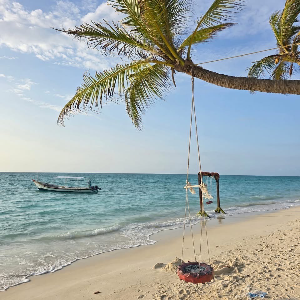 Palm tree over a beach swing on a quiet Lakshadweep shoreline with a boat anchored offshore