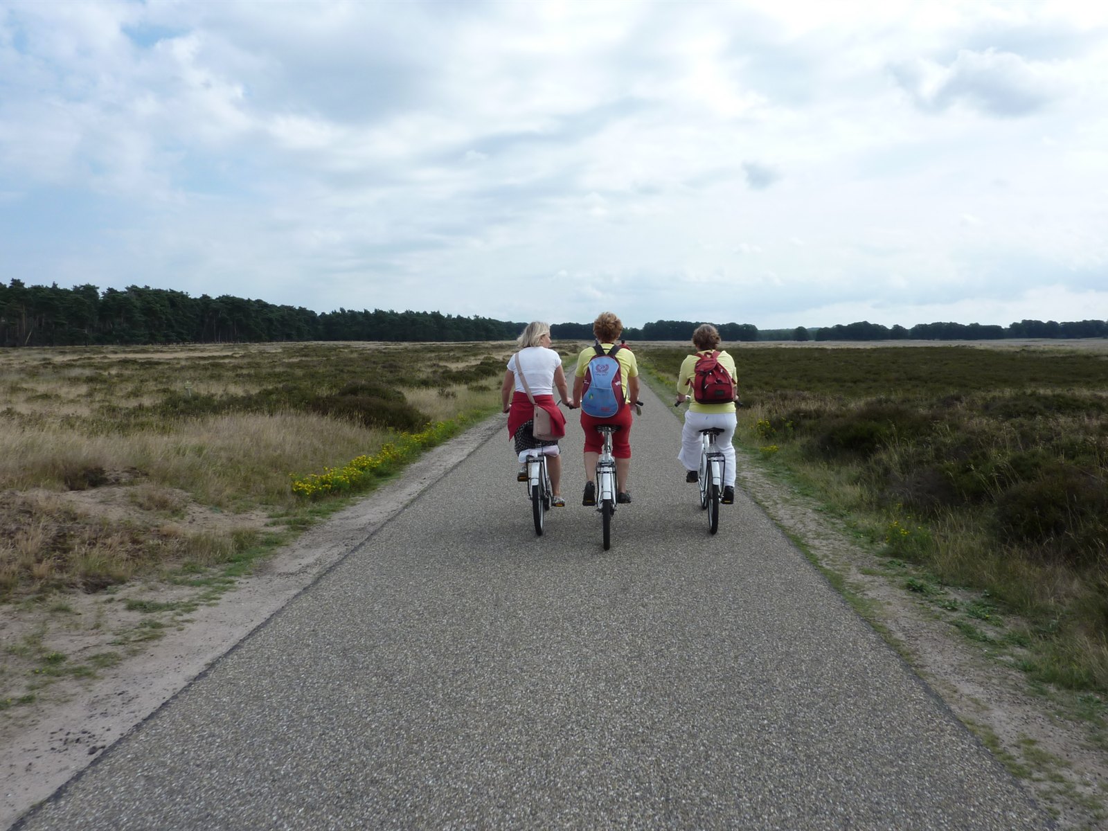 Three cyclists riding away down a path through open heathland in Hoge Veluwe National Park