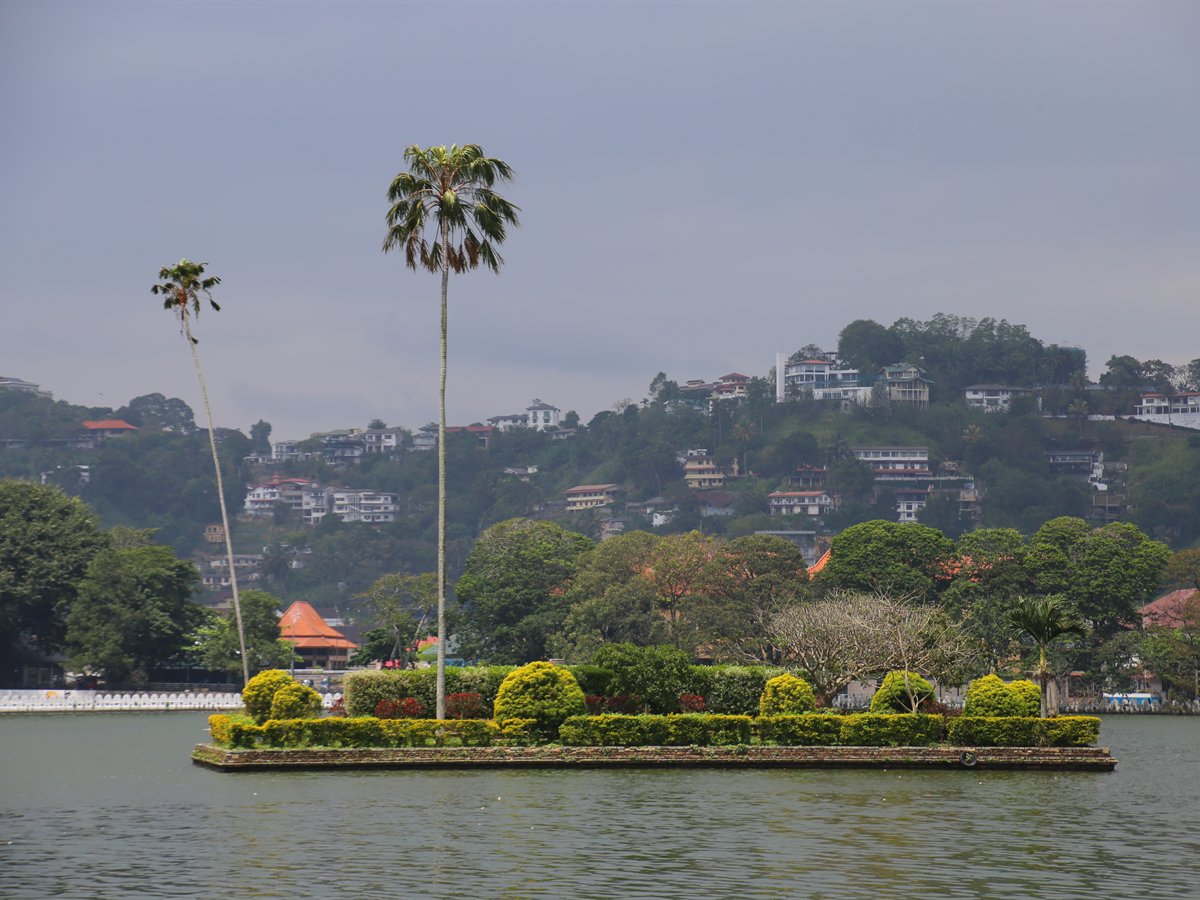 The small palm-lined island of Diyathilaka Mandapa in Kandy Lake, with the hills of Kandy behind