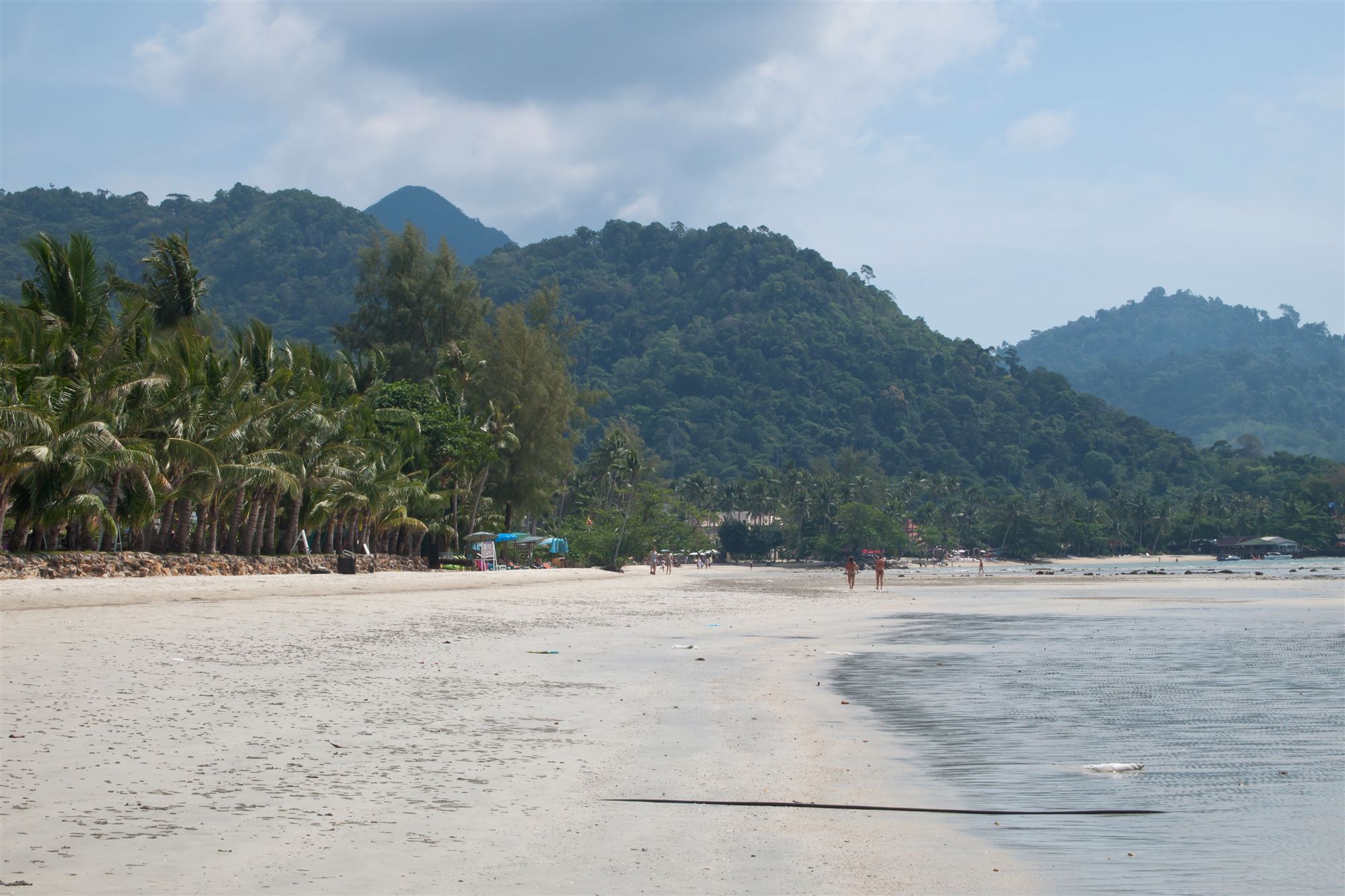 Palm trees and forested hills above Klong Prao Beach on Koh Chang, Thailand