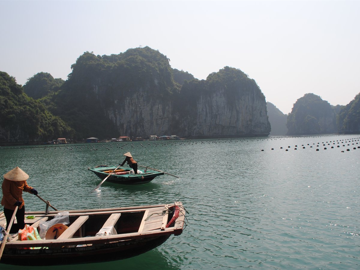 Rowing boats among the limestone karst islands of Ha Long Bay