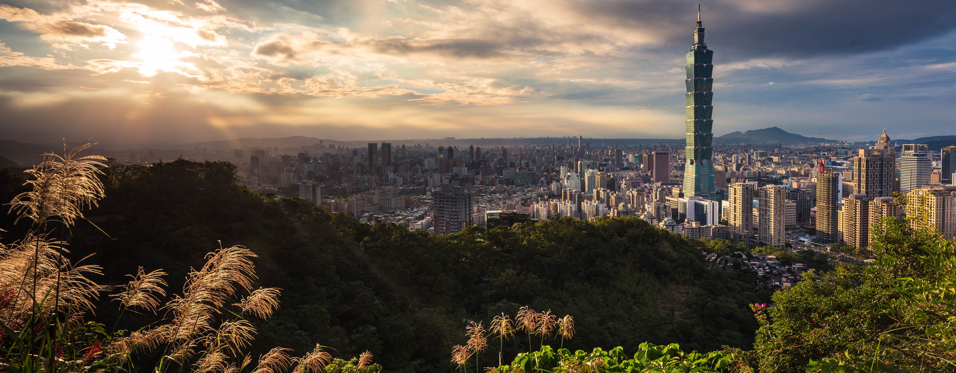 Taipei 101 rising above the city at sunset, seen from the green hills with silver grass in the foreground, Taipei, Taiwan