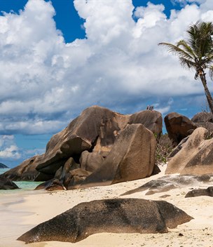 Granite boulders and a palm on Anse Source d'Argent beach, La Digue, Seychelles