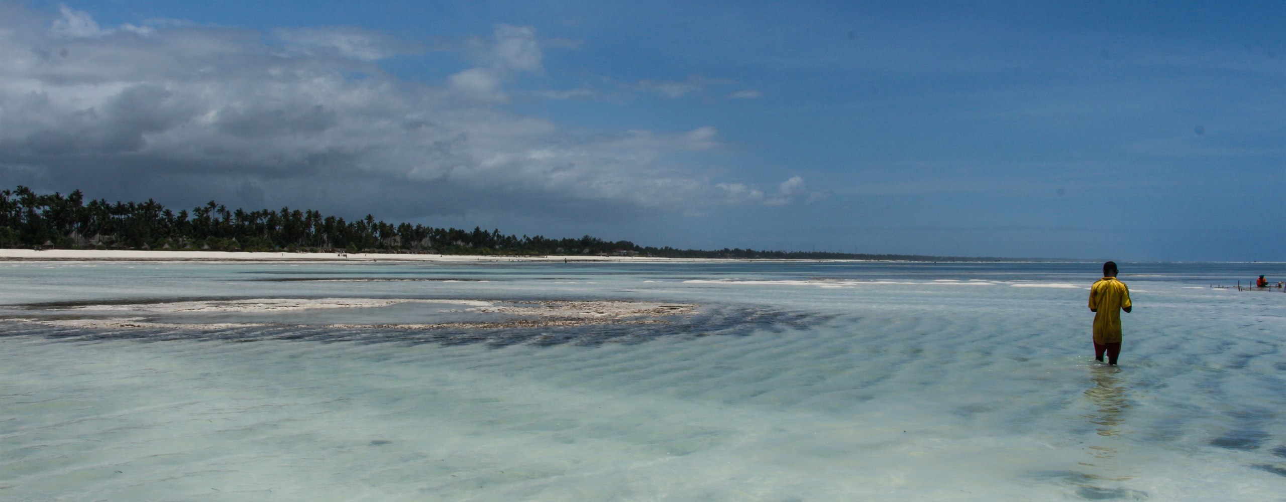Clear shallow water at low tide off Zanzibar's palm-lined east coast, with a man wading in the lagoon